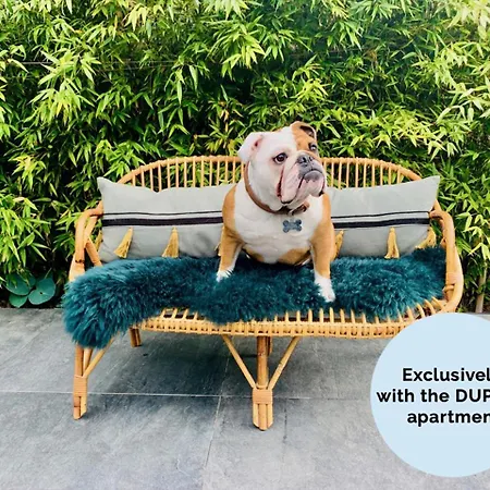 アパート La Petite Adresse Du 10honfleur *