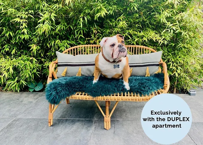 Appartement La Petite Adresse Du 10honfleur *